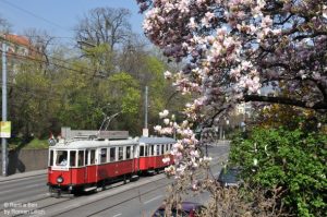 Spring on the way to the ring road